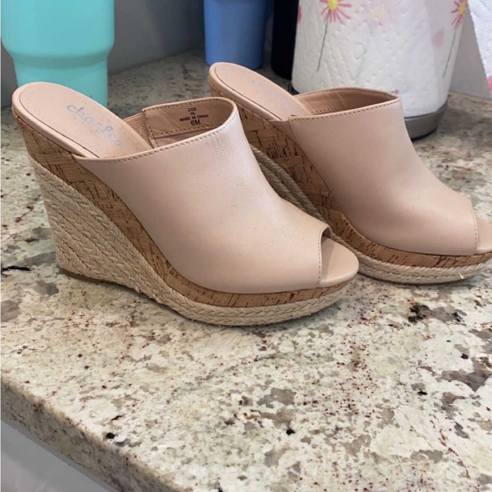 Charles by Charles David Azie Espadrille wedge sandal